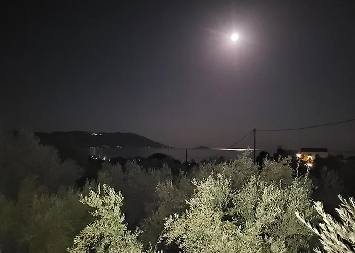 Olive Τree Ηouses