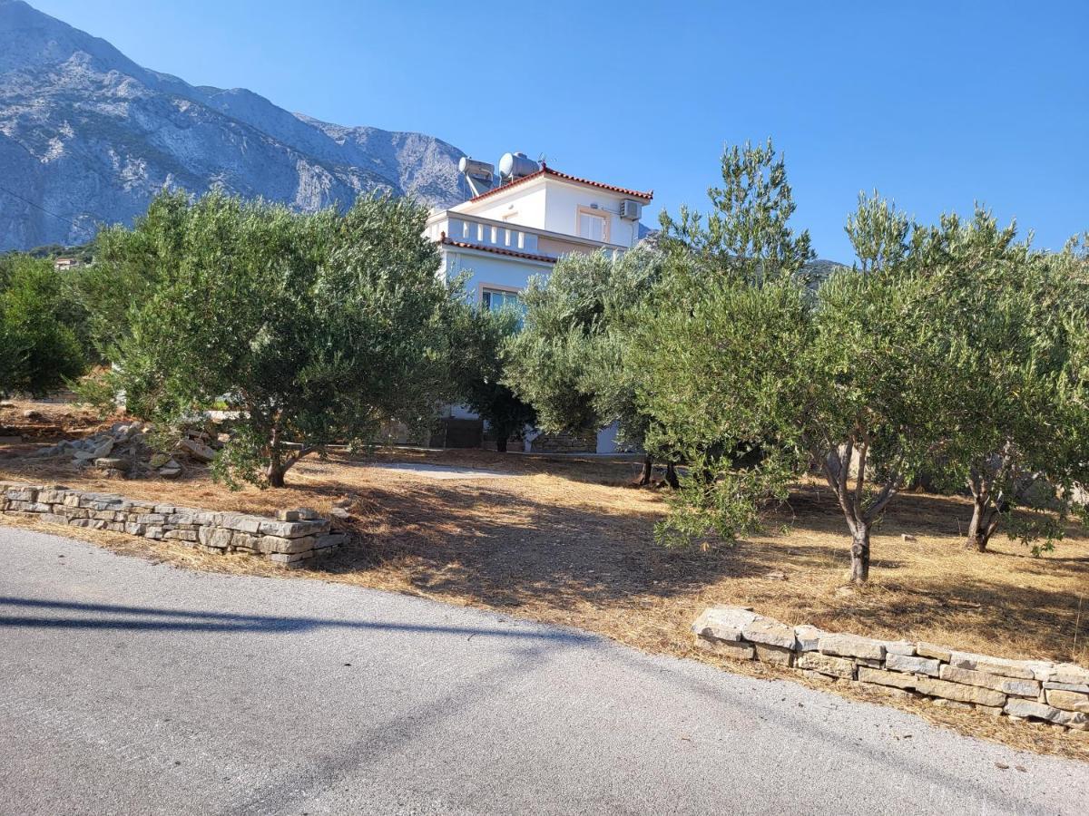 Olive τree ηouses * Votsalakia (Samos)