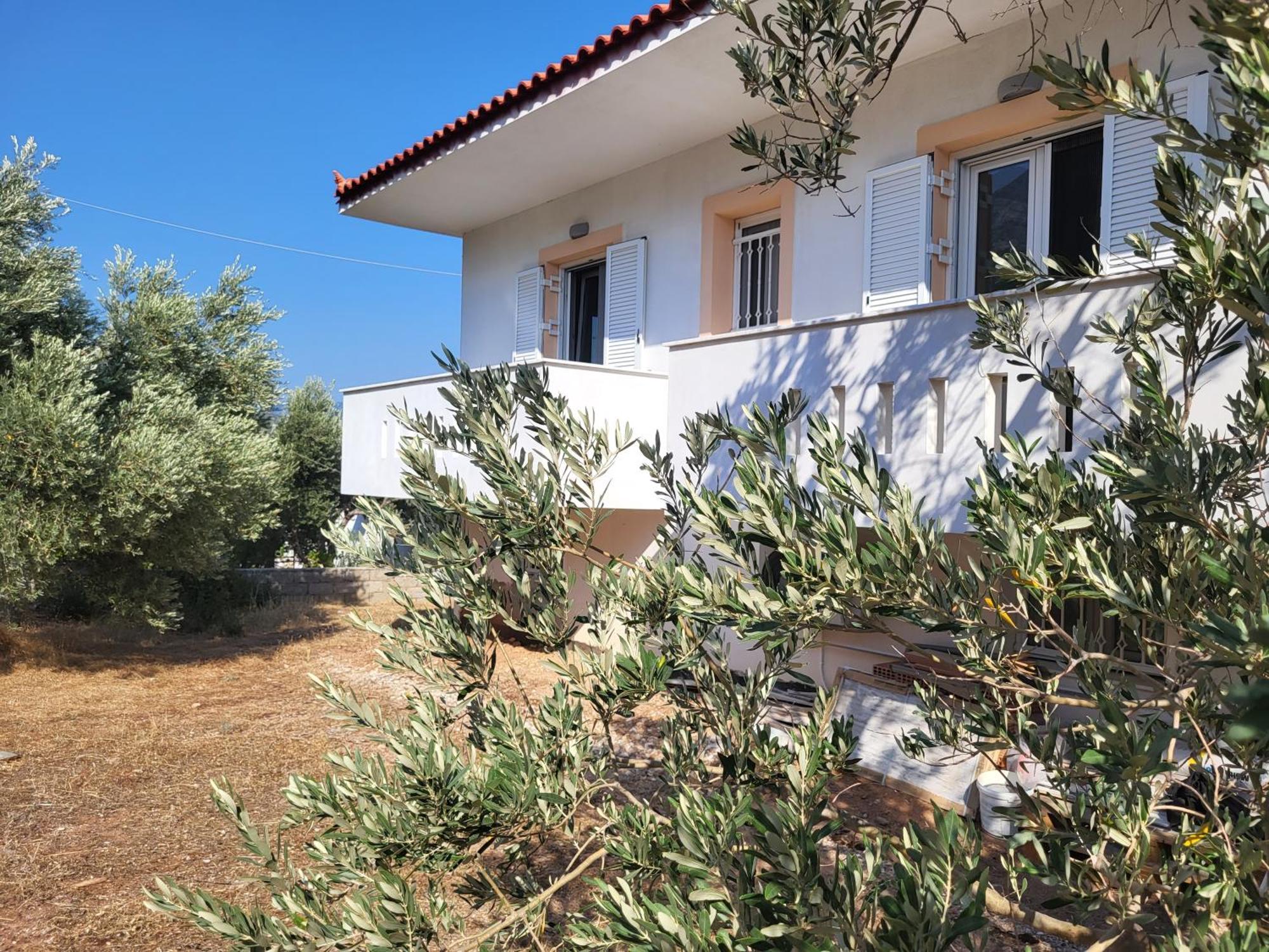Villa Olive τree ηouses