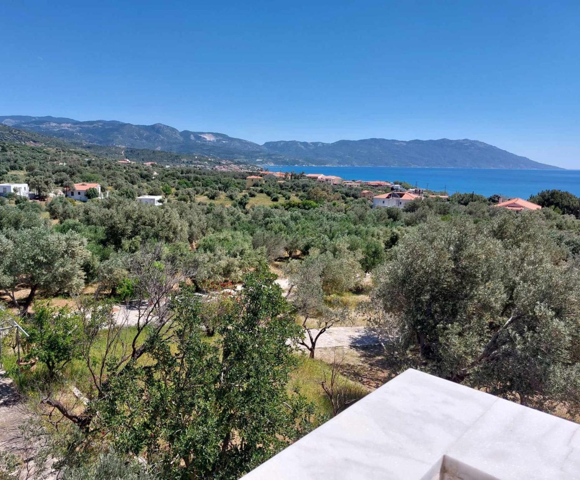 Villa Olive τree ηouses