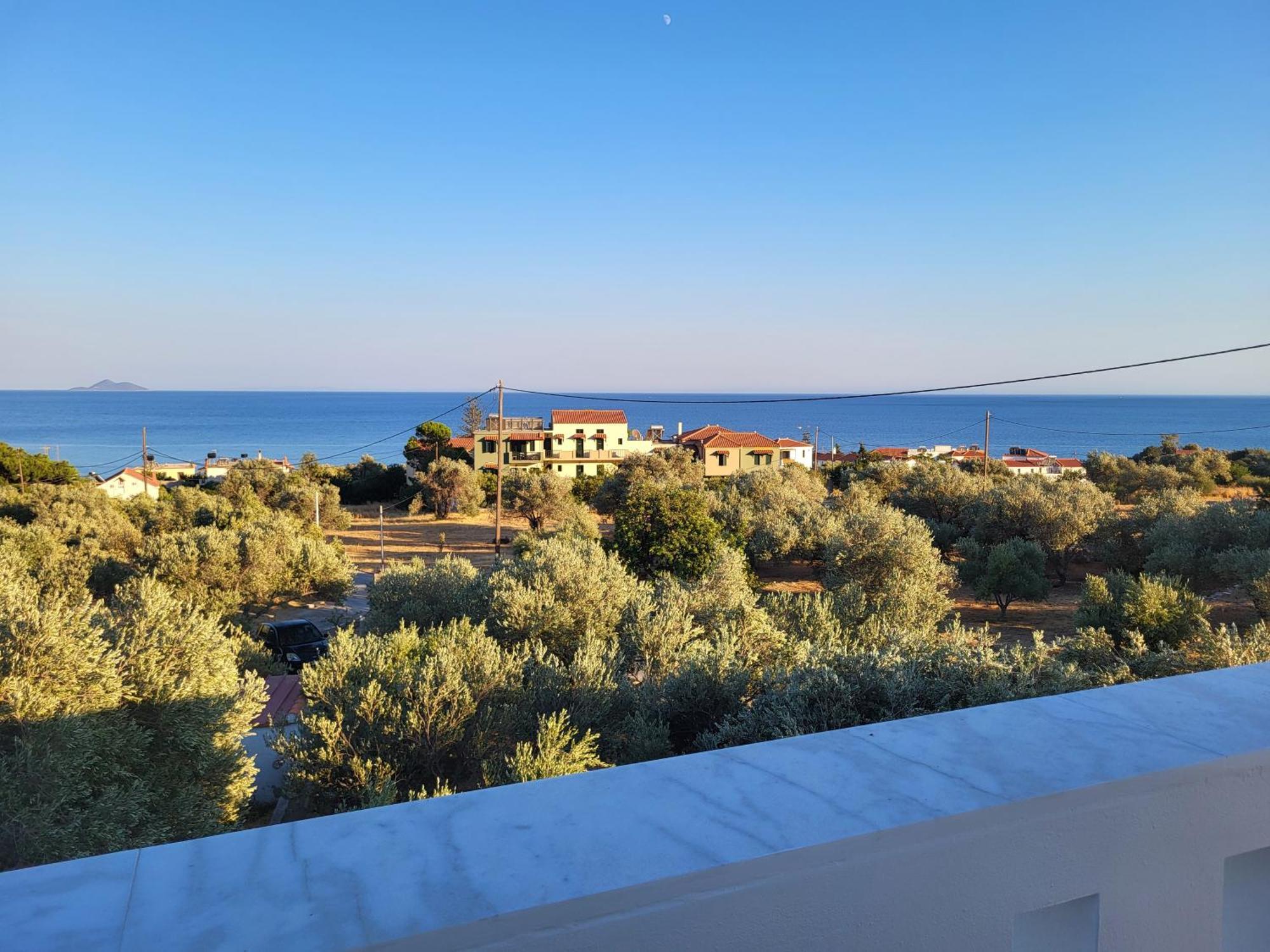 Olive τree ηouses Villa Votsalakia (Samos)